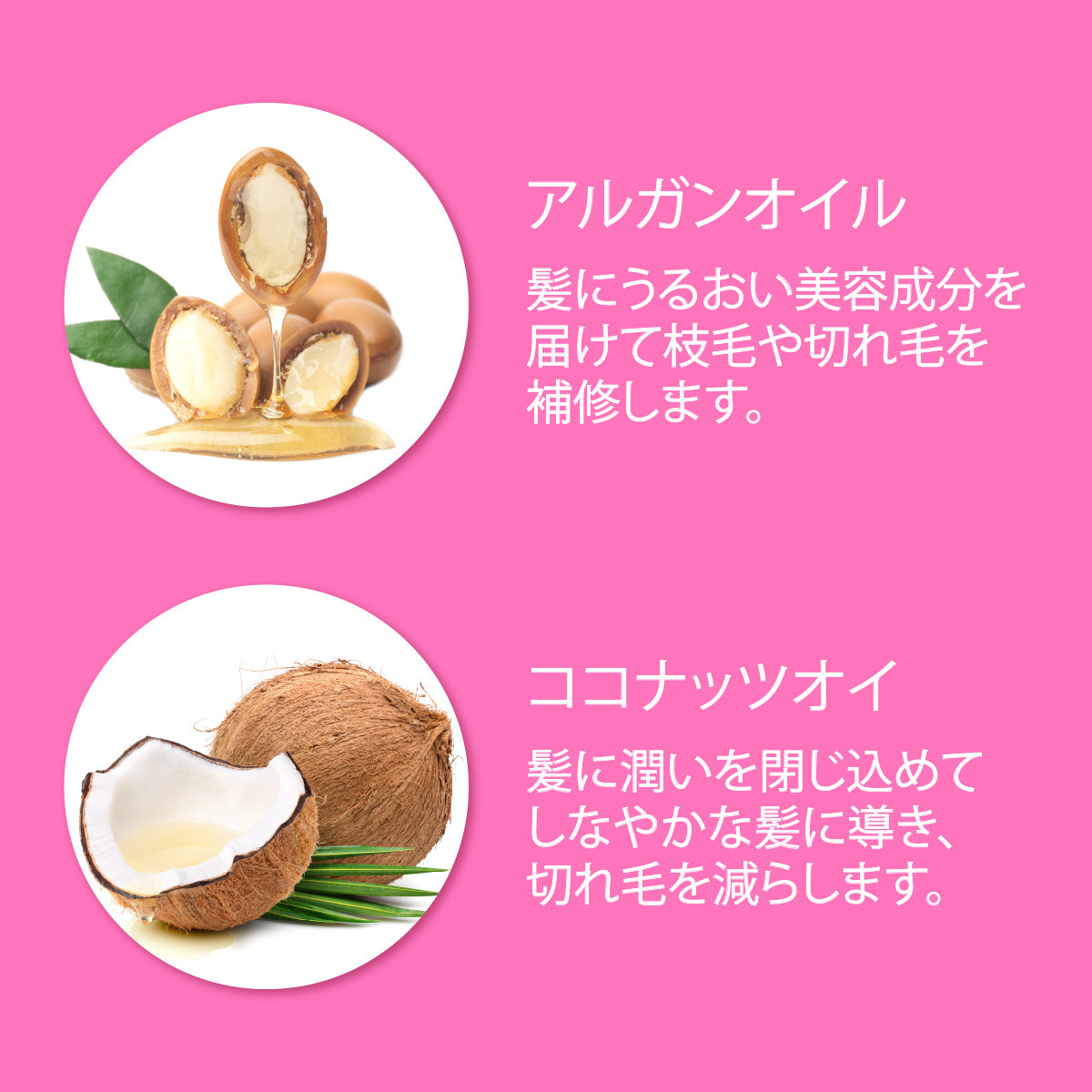 アルガンオイル & ココナッツオイル シャンプー & コンディショナーセット
