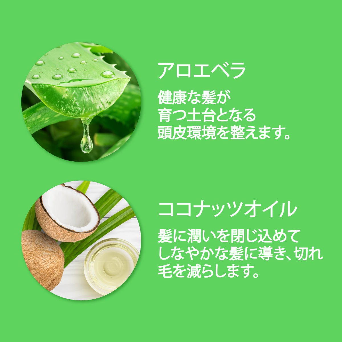 アロエベラ & ココナッツオイル シャンプー - サルフェート・シリコンフリー